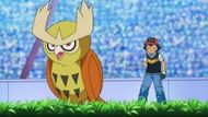 Ash's shiny Noctowl (Image via The Pokemon Company)